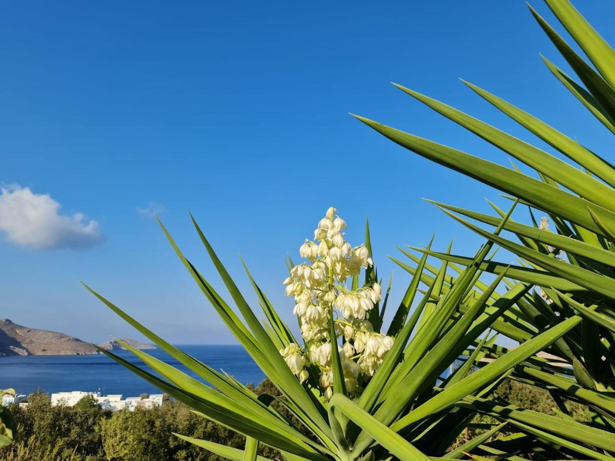 Tilos Villa Livadia  المظهر الخارجي الصورة
